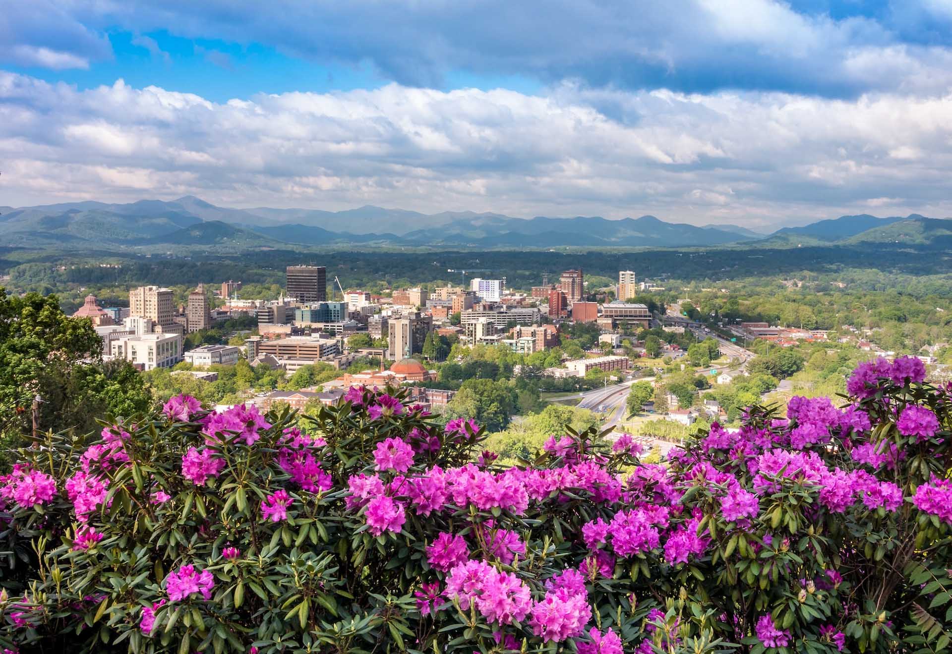 Springtime in Asheville North Carolina with flowers in the foreground.